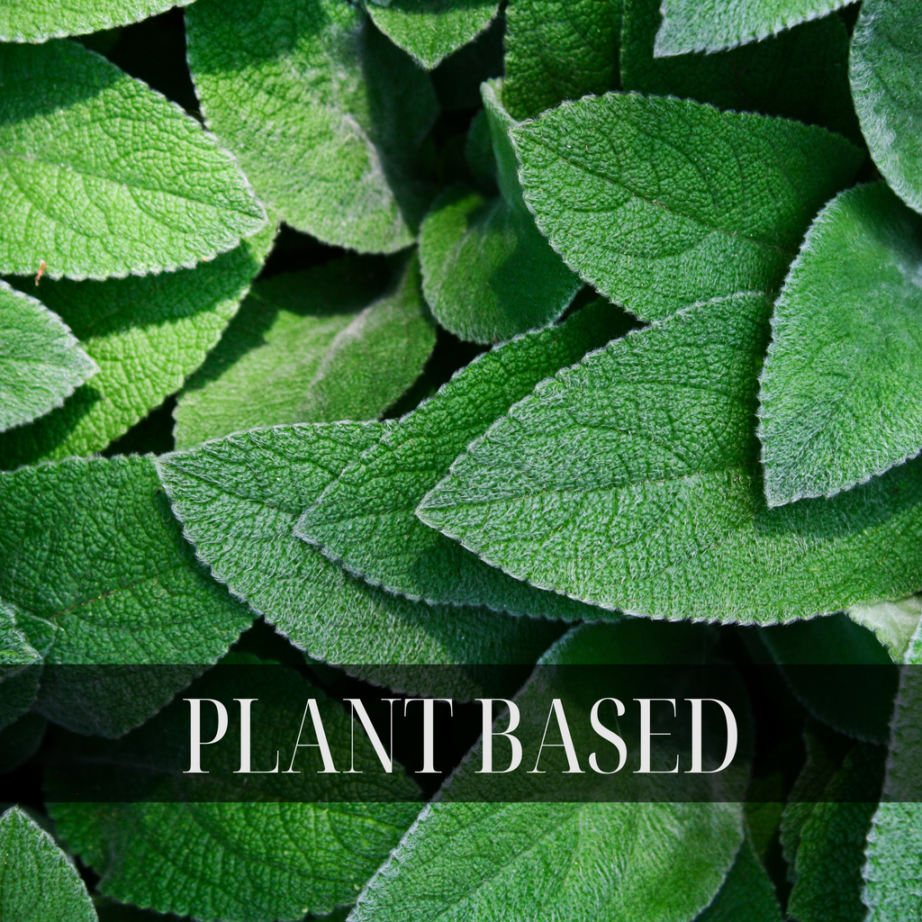 BIRTHDAY CAKE BODY SCRUB | VANILLA BODY SCRUB | 8 OUNCES