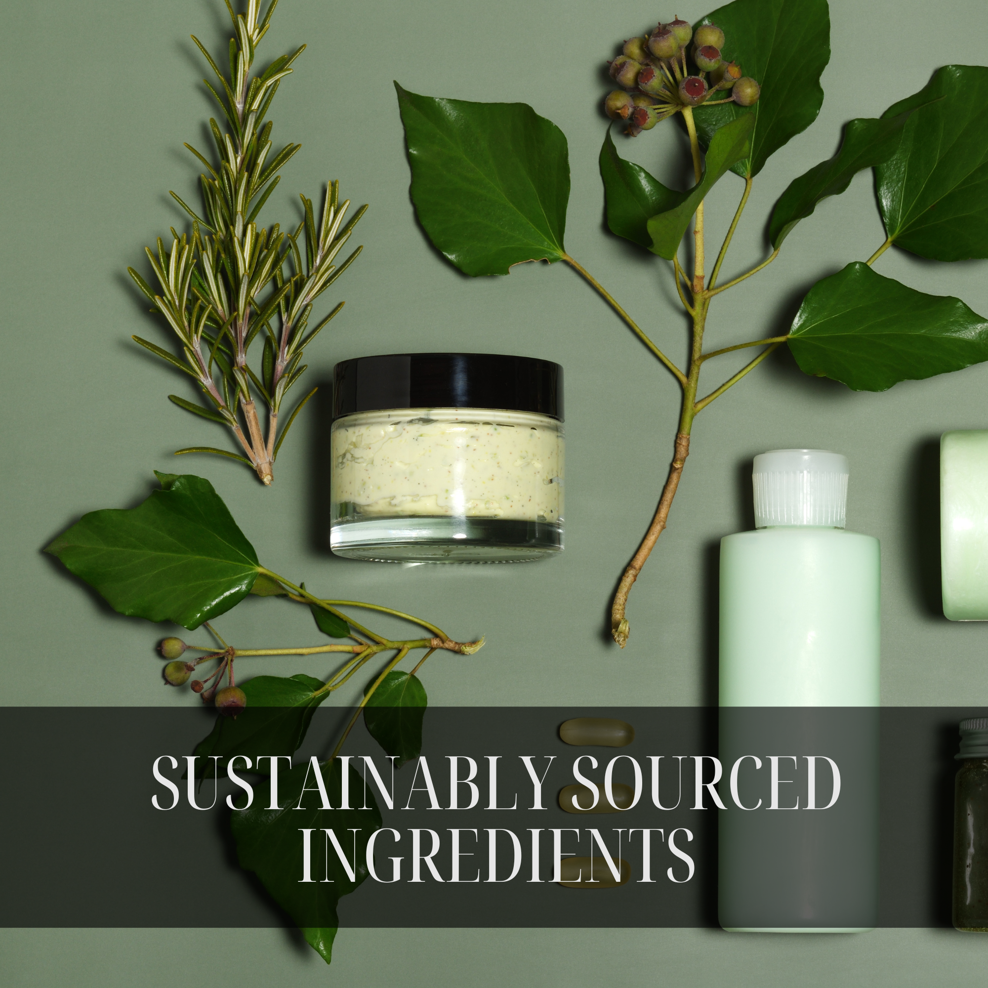 ALMOND LOTION | OLIVE OIL LOTION
