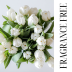 PURE & GENTLE FRAGRANCE-FREE | DYE-FREE | SHOWER BUTTER | SHEA BUTTER CLEANSER | PARABEN FREE