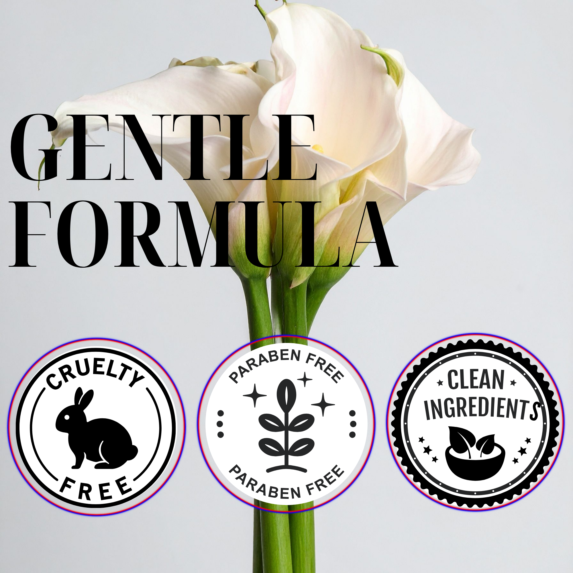 CLEANSE + POLISH | ACTIVATED CHARCOAL | ARTIFICIAL DYE FREE | EXFOLIATING CLEANSER