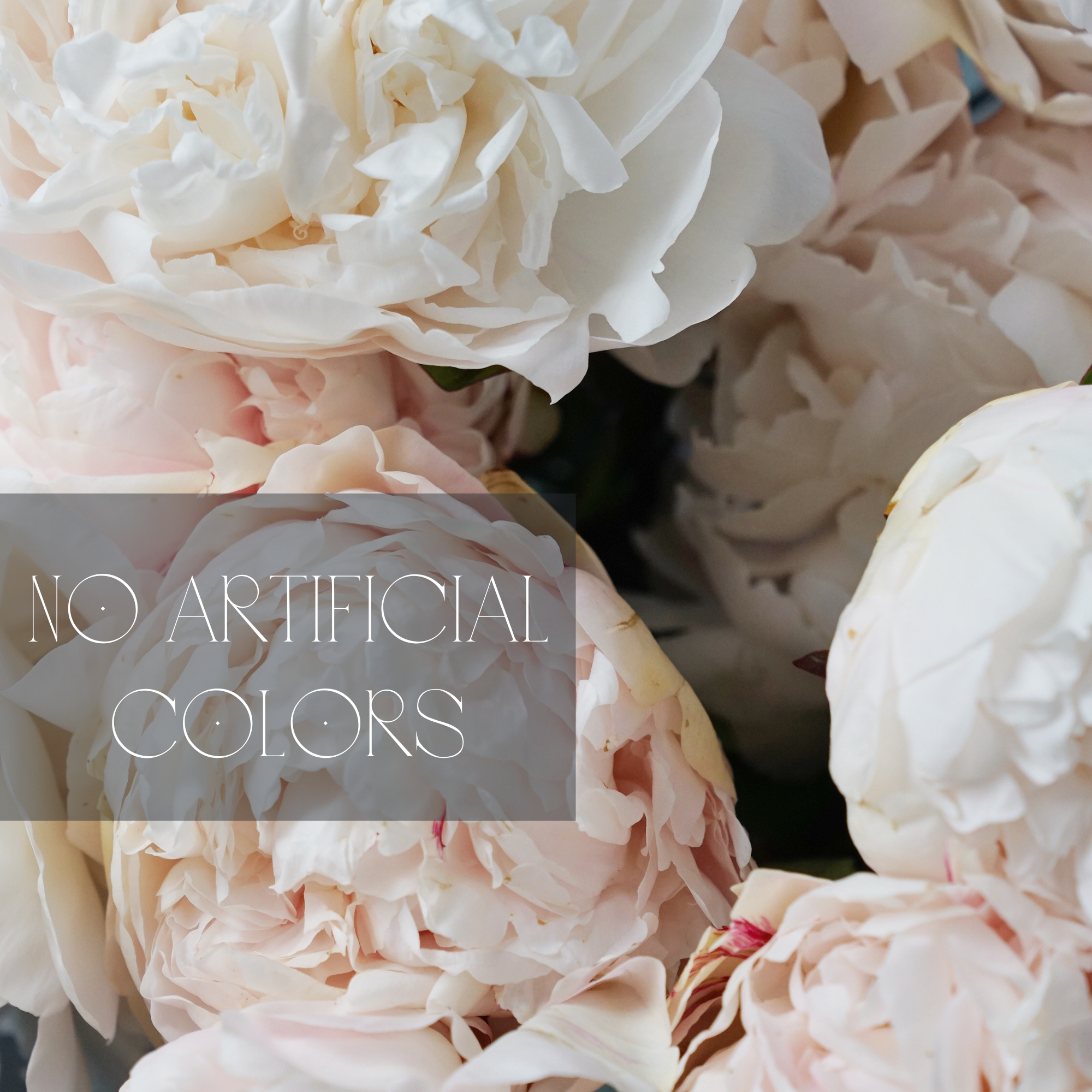 LUMINOUS OIL | NOURISHING BODY OIL | UNSCENTED BODY OIL | NO ARTIFICIAL COLORS