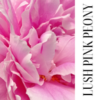 CLOUD CREAM | LUSH PINK PEONY | CREAMY WHIPPED SOAP WITH SHEA AND OLIVE OIL