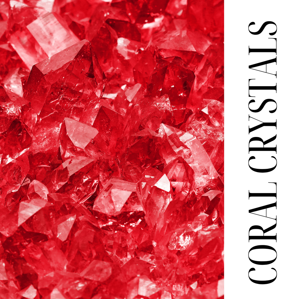 CORAL CRYSTAL | SHOWER BUTTER | SHEA BUTTER CLEANSER | PARABEN FREE