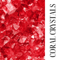 CORAL CRYSTAL | SHOWER BUTTER | SHEA BUTTER CLEANSER | PARABEN FREE