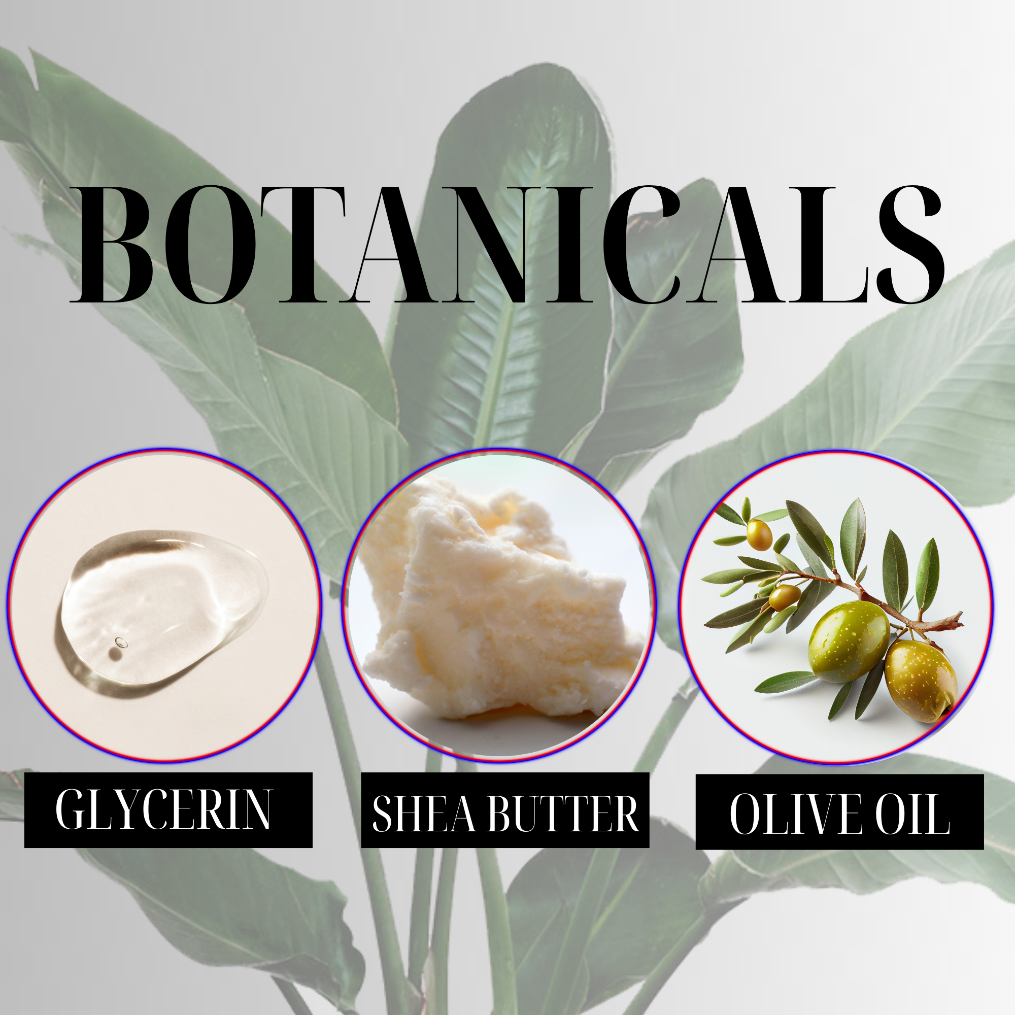 CLOUD CREAM | VELVET APPLE | CREAMY WHIPPED SOAP WITH MOISTURIZING SHEA & OLIVE OIL