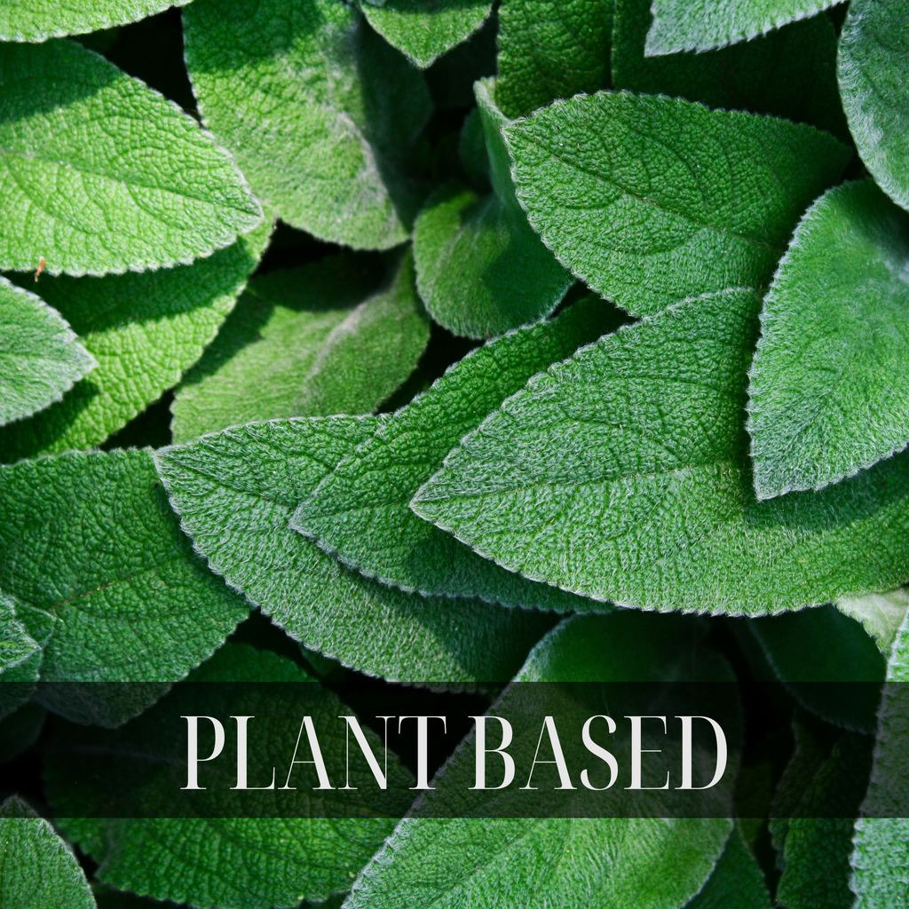 FRAGRANCE FREE BODY OIL | NATURAL BODY OIL