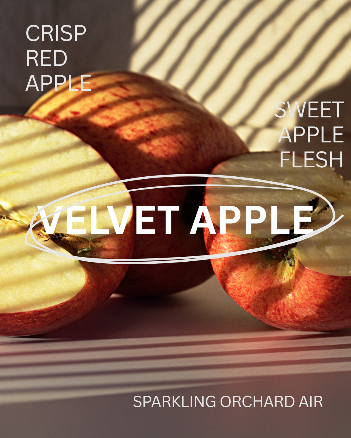 CLOUD CREAM | VELVET APPLE | CREAMY WHIPPED SOAP WITH MOISTURIZING SHEA & OLIVE OIL