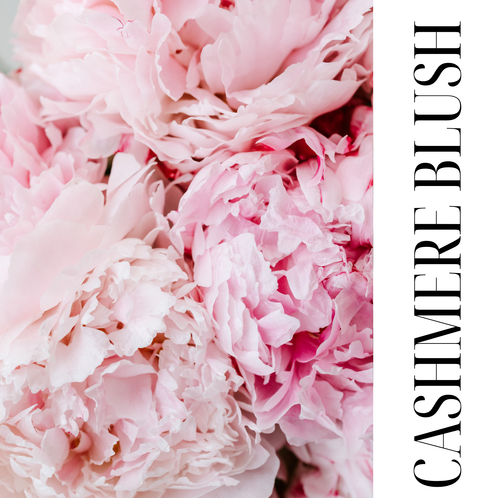 CLEANSE + POLISH | CASHMERE BLUSH | EXFOLIATING CLEANSER